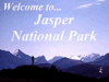 Jasper Alberta